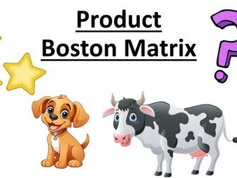 Marketing Strategy (Edexcel A Level Business 1.3.5)