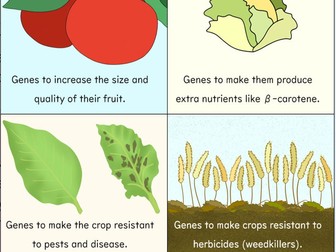 Genetic Engineering ~ KS3