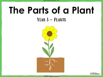 The Parts of a Plant - Year 3