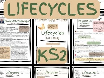 KS2 Life Cycles Science Pack – Plant & Animal Worksheets Aligned to National Curriculum