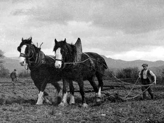 The follower- Culture and Identity poetry.