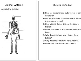 KS3 The Body Quick Quiz