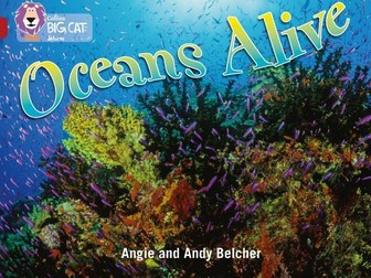 Oceans Alive Activity Workbook (Collins Big Cat Readers)