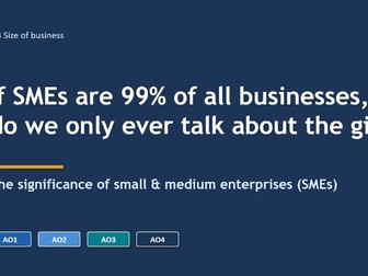 Cambridge International  AS & A Level  Business 9609- SME Lesson