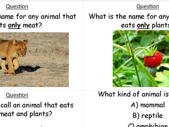 Living Things and their Habitats; Animals, including Humans; Seasonal Change. Question Cards