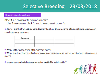 GCSE Biology Selective Breeding