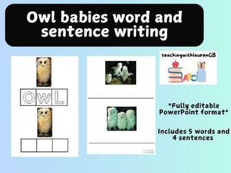 **EDITABLE** Owl babies word and sentence writing