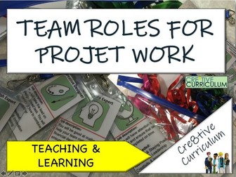 Team Roles for Project Work