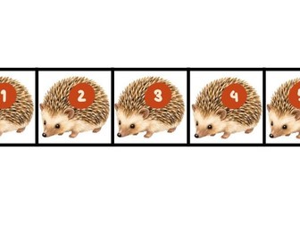 Hedgehog and Leaf Number and Quantity Matching EYFS Maths Nursery and Reception