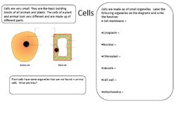 ks3 year 7 revision worksheets activate course teaching resources