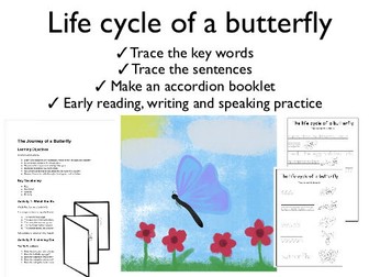 The journey of a butterfly