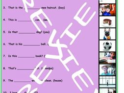 Possessive Pronouns and Possessive Case 3 Photo Worksheet Set