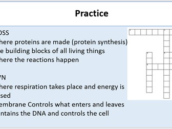 Key Stage 3 Cell Topic Animal Cells Lesson