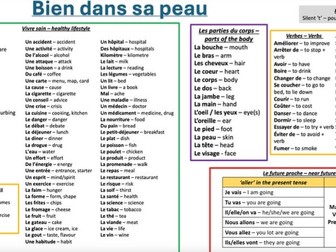 Y9 French knowledge organiser bien dans sa peau