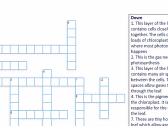 Structure of the leaf CROSSWORD