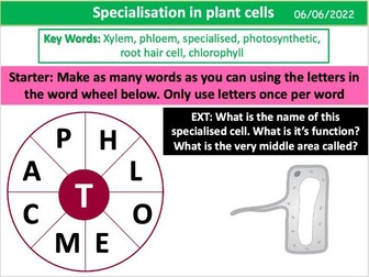 Specialisation in Plant Cells