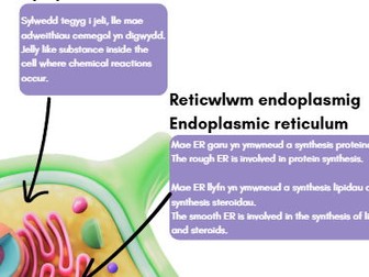 plant cell poster english/welsh