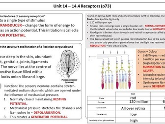AQA Unit 14 Response to Stimuli Revision Sheets & Answers