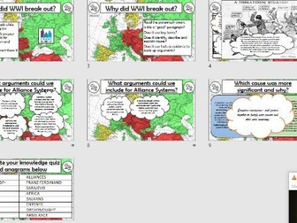 Causes of WWI assessment and feedback