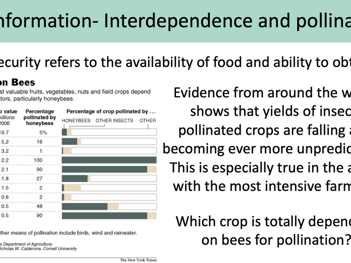 9.1.2 Disruption To Food Webs (AQA KS3 Activate 1) | Teaching Resources