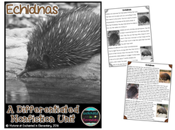 Differentiated Nonfiction Unit: Echidnas