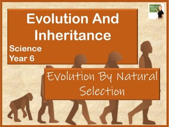 Science-Evolution and Inheritance- Evolution by Natural Selection- Year 6