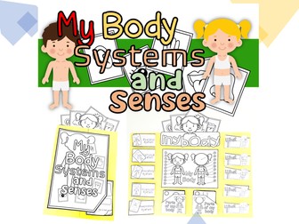 My Body Systems And Senses Lapbook