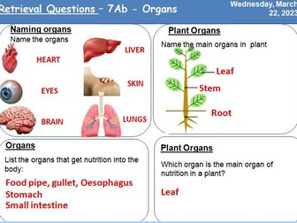 Retrieval Questions – 7A - Life processes - Complete set