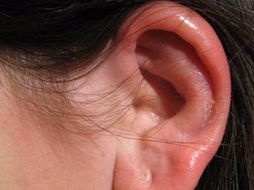 5 Senses lessons
