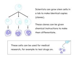 GCSE Stem Cells with Worksheet (AQA) | Teaching Resources