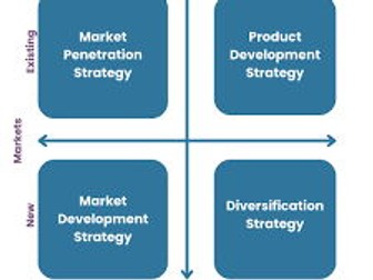 Ansoff's Matrix exemplar essay CCEA