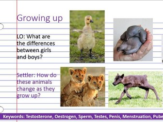 KS3 Growing up (puberty or adolescence)