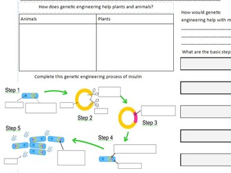 B14 Genetics and Evolution Powerpoint/Worksheet