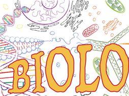 year 6 biology ks2 science bundle bundled teaching resources