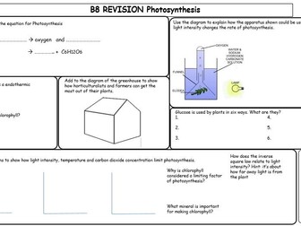 Photosynthesis revision mat