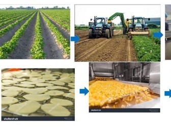 Where does food come from?- Lesson plan