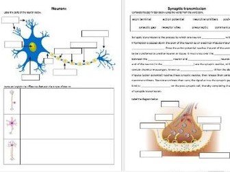 AQA A-Level Psychology - Biopsychology revision booklet