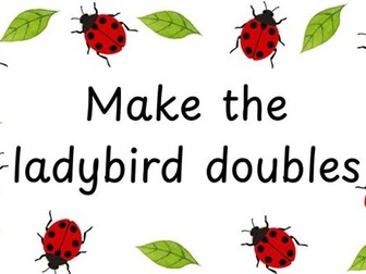 Minibeast doubles- provision signs