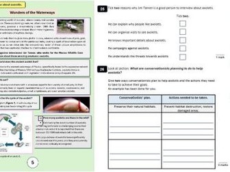 SATs Reading Paper Practice