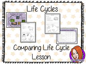 Comparing Life Cycles  - Complete Science Lesson
