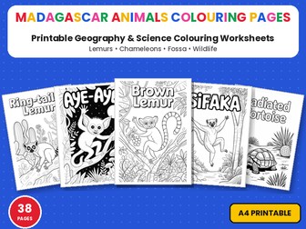 Madagascar Animals Colouring Pages | Lemurs & Chameleons Printable Colouring Page Worksheets