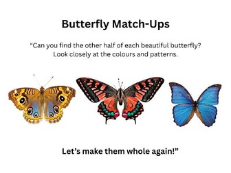 Butterfly Halves Matching activity