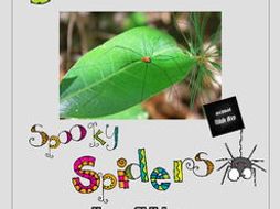 STEAM Biomimicry for Young Children - Spooky Spiders