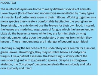 Explanation text of plant life cycle Year 5