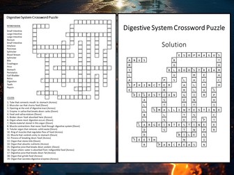 Digestive System Crossword Puzzle Worksheet Activity