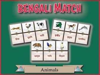 Bengali (Bangla) Match - Animals