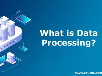 9626 Information Technology: Data processing and information Questions
