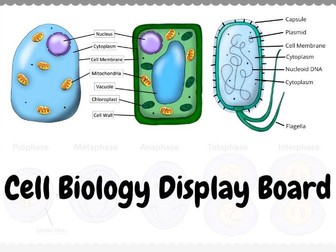 Plant, Animal and Bacterial Cell Wall Science Display Posters A3/A4