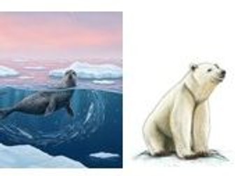 Five Steps To Fluency - The Last Bear