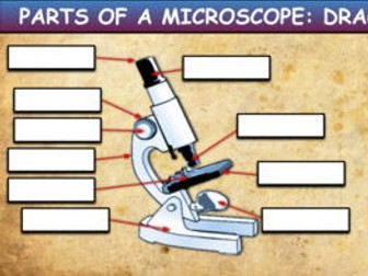 Parts Of A Microscope: Drag & Drop Worksheet: Google Slides. Distance Learning + Powerpoint version